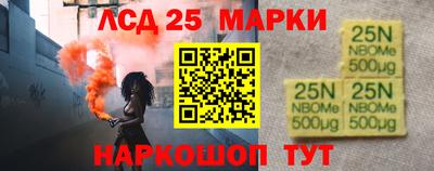 шишки Изобильный