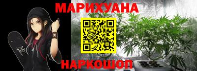 шишки Изобильный