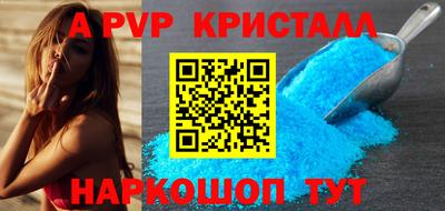 шишки Изобильный
