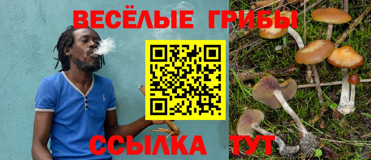 Галлюциногенные грибы Cubensis  Вход с VPN  Джанкой 
