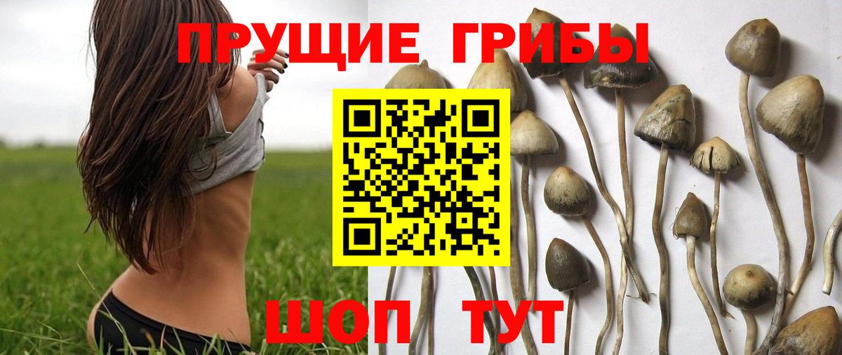 Псилоцибиновые грибы MAGIC MUSHROOMS Джанкой